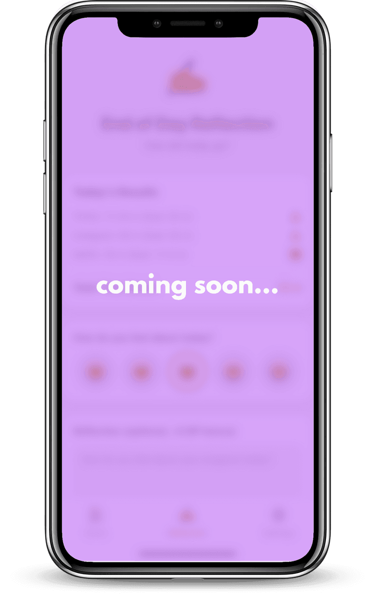 Reality Check end of day reflection screen